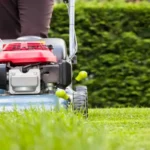 When to Mow New Grass from Seed: Best Practices for Lawn Care