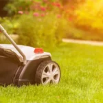 When to Mow Newly Seeded Grass: Best Practices and Timing for Healthy Growth