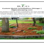 When to Mulch in Chicago: Best Times and Tips for Gardening Success