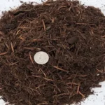 When to Mulch in Houston: Best Time and Tips for Gardeners