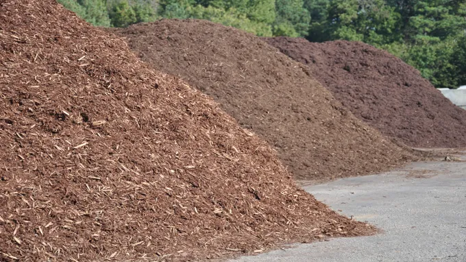 when to mulch in texas