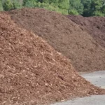 When to Mulch in Texas: Best Timing for Mulching Your Garden