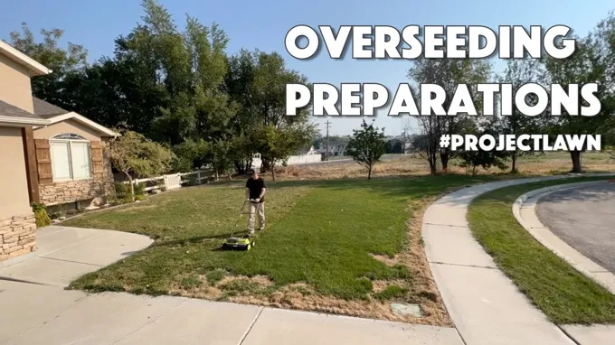 when to overseed in missouri