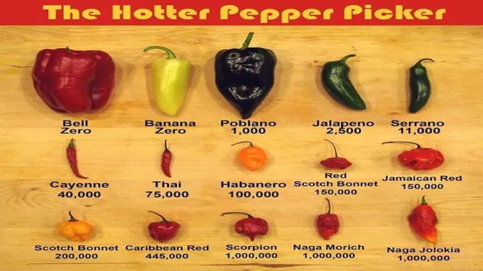 when to pick spicy jane peppers