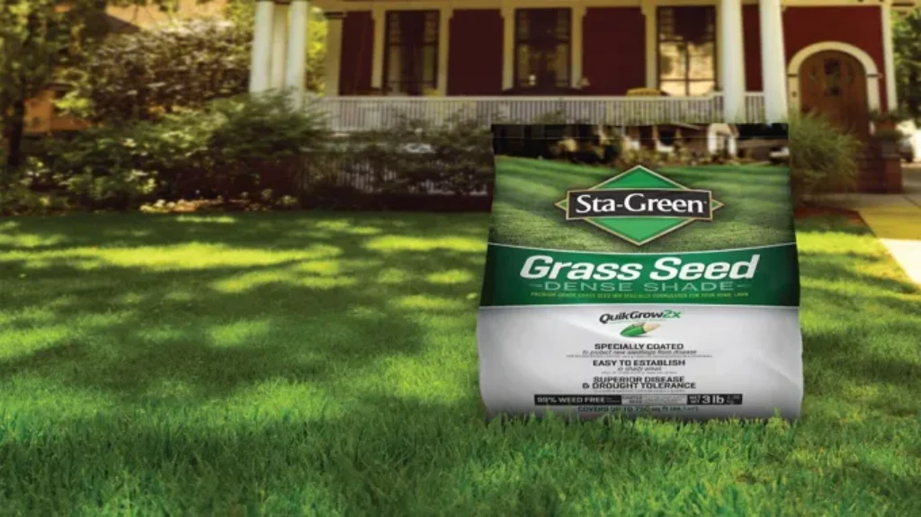 When to Plant Bermuda Grass in Tennessee for a Beautiful Lawn