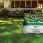 When to Plant Bermuda Grass in Tennessee for a Beautiful Lawn