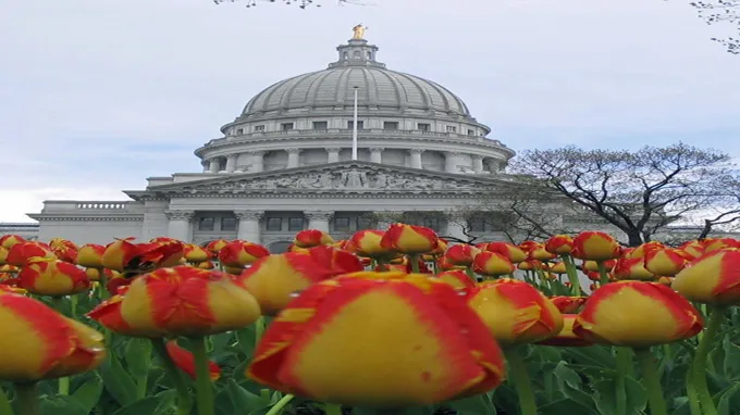 when to plant bulbs in wisconsin