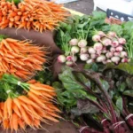 When to Plant Carrots in Georgia: Best Time and Tips for Successful Growth