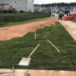 When to Plant Fescue in NC: Best Timing and Tips for Success