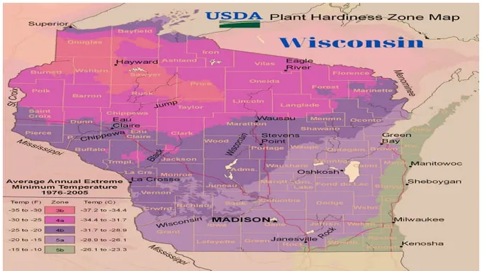 when to plant grass in wisconsin