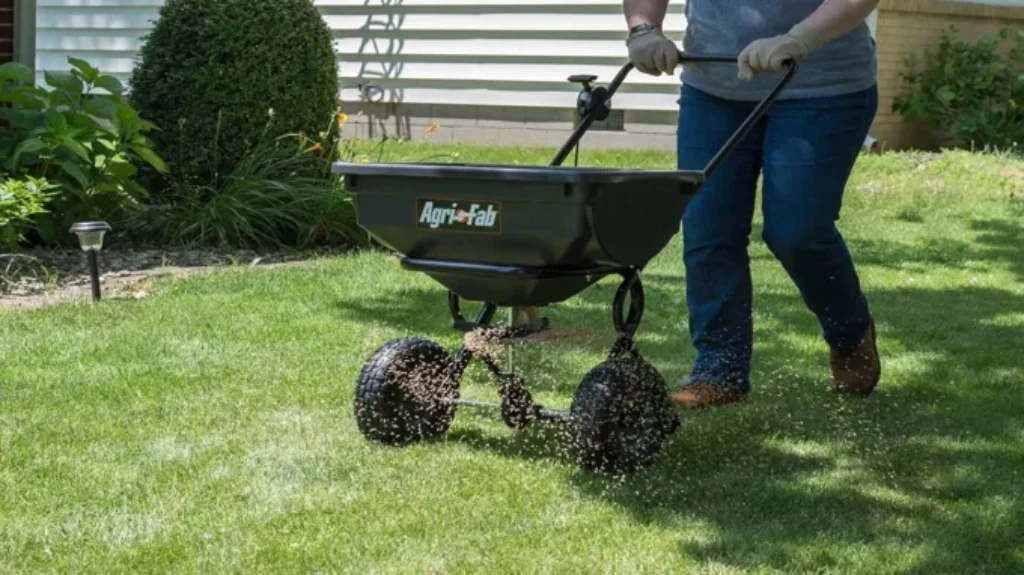 When to Plant Grass in Wisconsin for a Lush and Healthy Lawn