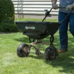 When to Plant Grass in Wisconsin for a Lush and Healthy Lawn