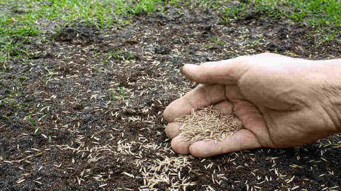 when to plant grass seed in massachusetts spring