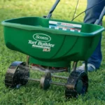 When to Plant St Augustine Grass Seed for a Lush and Healthy Lawn