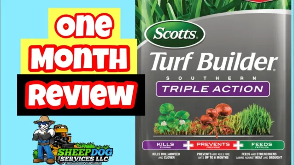 When to Put Down Scotts Triple Action: A Complete Guide for Effective Lawn Care