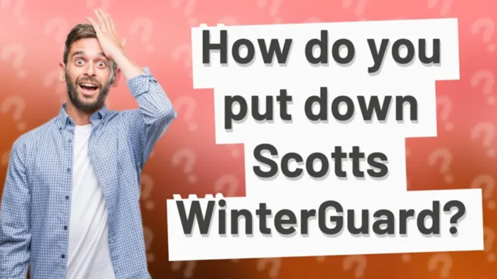 When to Put Down Scotts WinterGuard for a Healthy Lawn