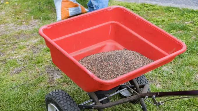 when to put grass seed down in michigan