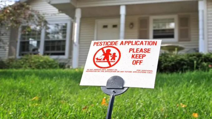 when to put insecticide on lawn