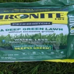 When to Put Ironite on Lawn for Healthy and Lush Grass