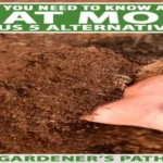 When to Put Peat Moss on Lawn: Best Practices for Healthy Grass