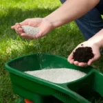 When to Put Winter Fertilizer Down for a Healthy Lawn