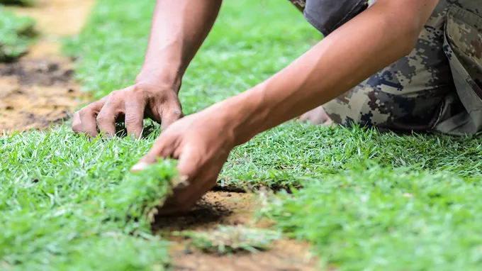 when to remove hay from new grass