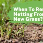 When to Remove Netting from New Grass: Best Practices and Timing