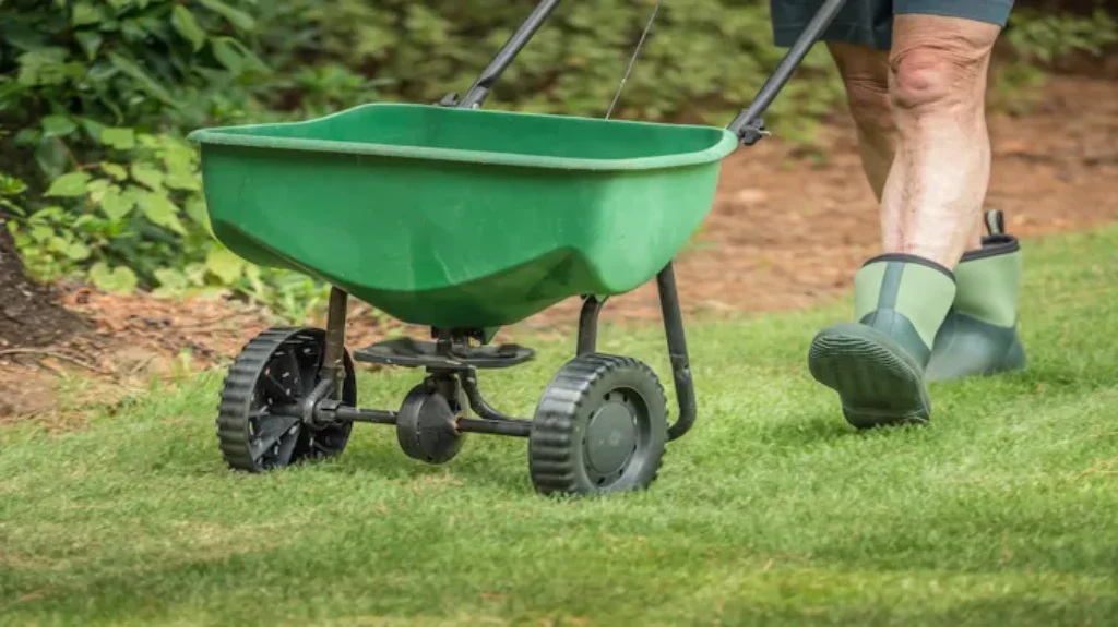 When to Seed Lawn in Tennessee: Best Time and Tips for Healthy Growth