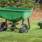 When to Seed Lawn in Tennessee: Best Time and Tips for Healthy Growth