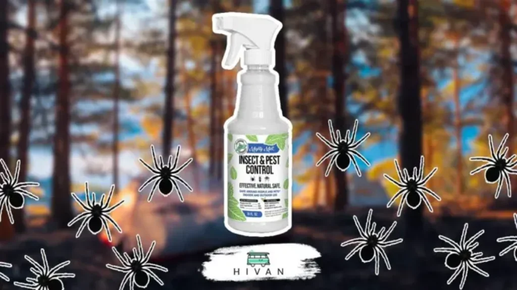 When to Spray for Spiders: Best Time and Method for Effective Control