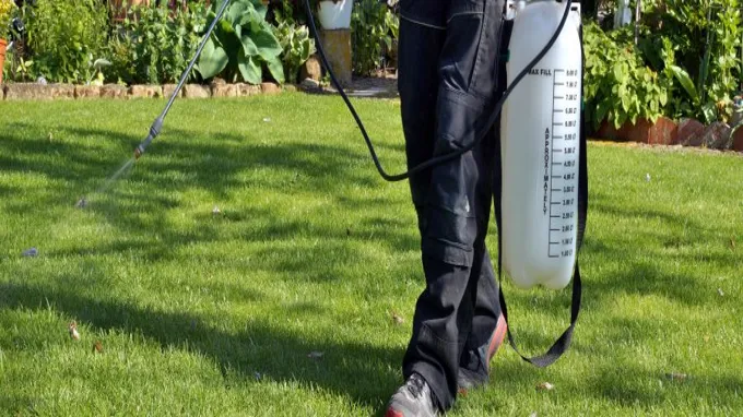 when to spray for weeds in lawn