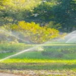 When to Start Sprinkler System: A Comprehensive Guide for Homeowners