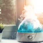 When to Turn On Humidifier in House for Optimal Indoor Air Quality