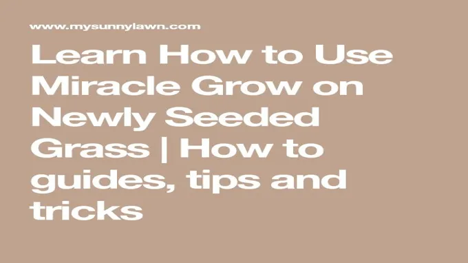 when to use miracle grow