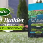 When to Use Turf Builder Triple Action for a Lush Lawn