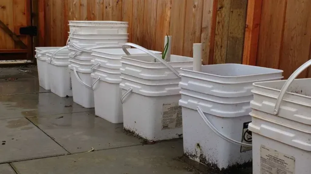 Where Can I Get 5 Gallon Buckets for Free: Top Ways to Score Free Buckets