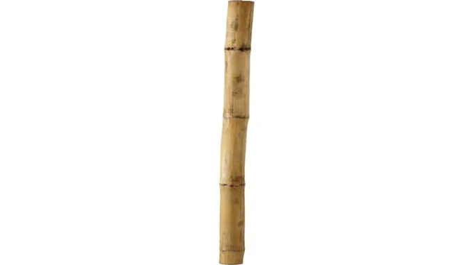 where can i get bamboo sticks