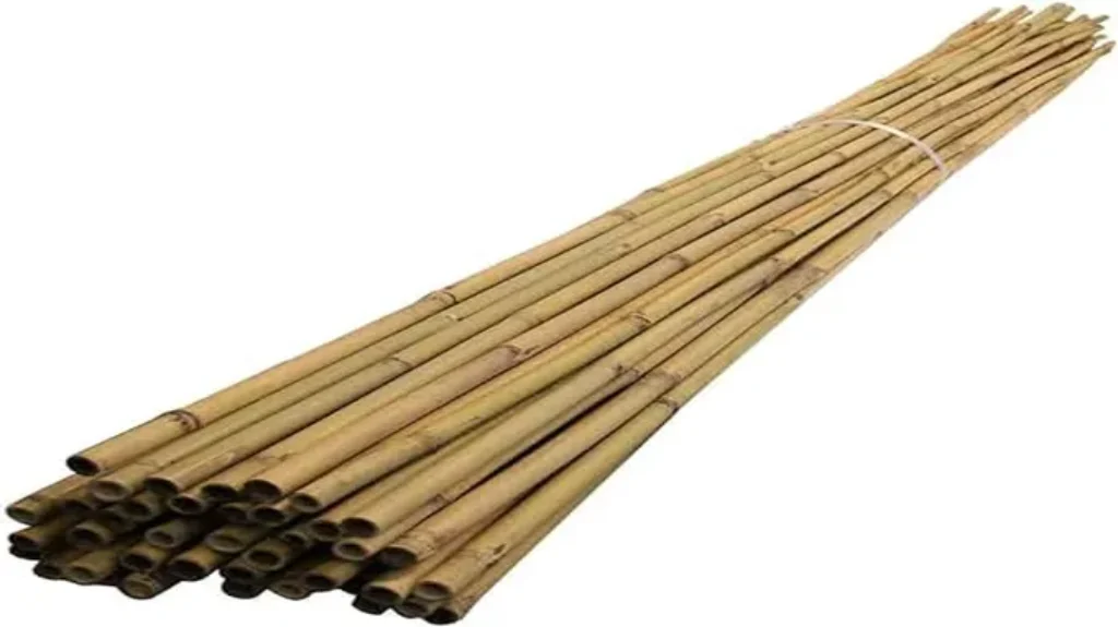 Where Can I Get Bamboo Sticks? Find Your Perfect Bamboo Sticks Here!