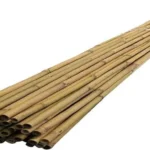 Where Can I Get Bamboo Sticks? Find Your Perfect Bamboo Sticks Here!