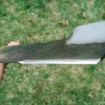 Where Can I Get Lawnmower Blades Sharpened? The Top Places to Get Your Blades Professionally Sharpened