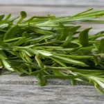 Where Can I Get Rosemary Plant? Discover the Best Places to Buy Rosemary Plants for Your Garden