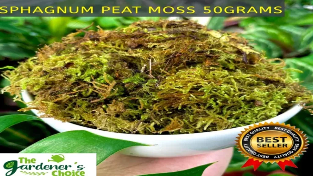 Where Can I Get Sphagnum Moss for Gardening and Plant Care?