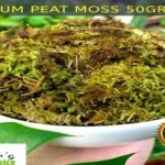 Where Can I Get Sphagnum Moss for Gardening and Plant Care?