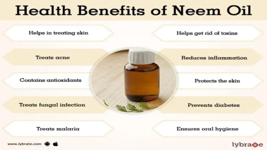 Where Can I Purchase Neem Oil? Best Places to Buy Neem Oil Online