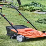 Where Can I Rent a Lawn Dethatcher: Top Options for Easy Lawn Maintenance