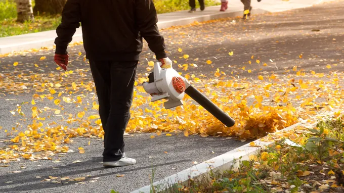 where can i rent a leaf blower