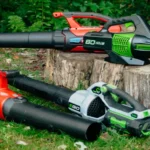 Where Can I Rent a Leaf Blower? Your Comprehensive Guide to Finding Leaf Blower Rentals