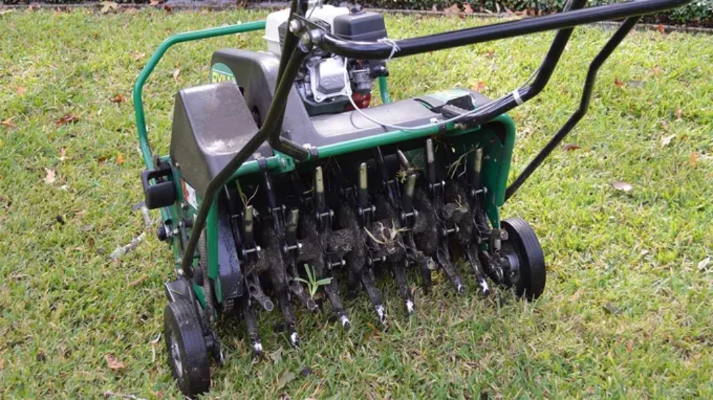 Where Can I Rent an Aerator? Find Reliable Equipment for Rent