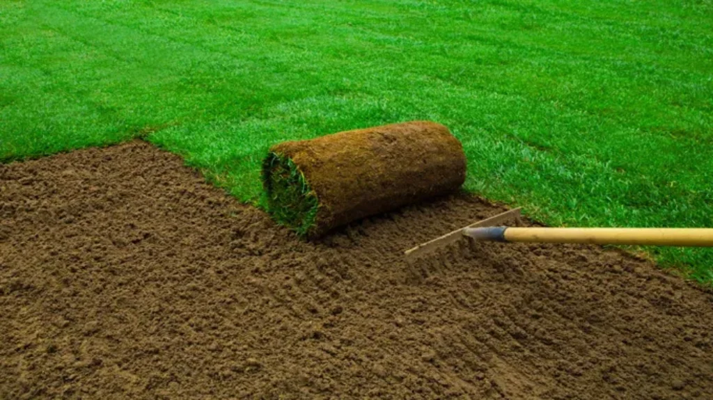 Where Does Sod Come From: Exploring the Origins and Cultivation Process