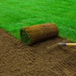 Where Does Sod Come From: Exploring the Origins and Cultivation Process